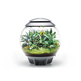 Terrarium