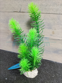 Decoratie kunst plant Hornwort