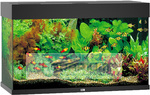 Juwel aquarium Rio 125 LED