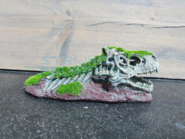 Decoratie dinosaurus skelet