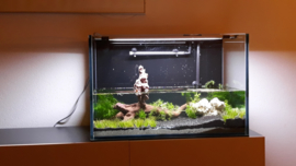 Rimless aquarium