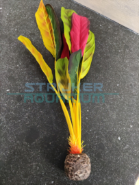 Decoratie zijden plant groen/rood Large (Biorb)