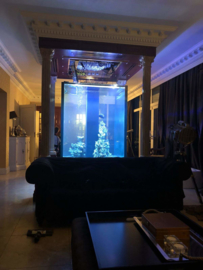 Aquarium ter plaatste gebouwd 125x125x150 gelaagd glas