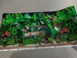 Aquarium poster achterwand 50cm planten/zwart