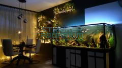 Aquarium op maat voor in bestaand (wand) meubel
