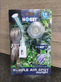 Hobby bubble air spot daylight