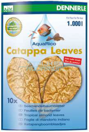 Dennerle CATAPPA LEAVES