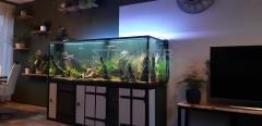 Aquarium op maat voor in bestaand (wand) meubel