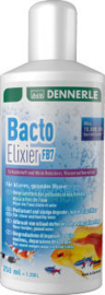 Dennerle bacto elixier FB7 250ml