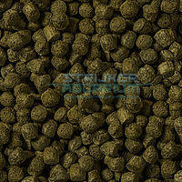 sera Cichlid Green XL 1L