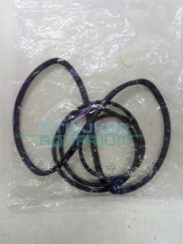 Eheim 7428510 O-ring set voor prof. 3 2080/2180