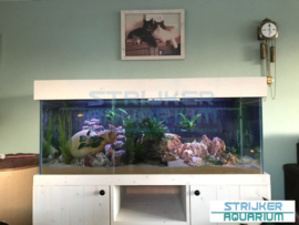 Vuren (whitewash) aquariummeubelen