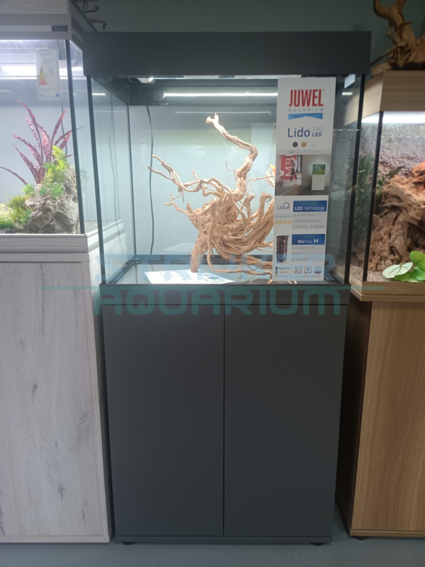 aquarium Lido 120 LED | Juwel | Strijker