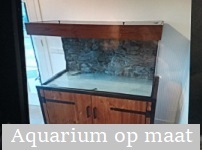 Aquarium op maat