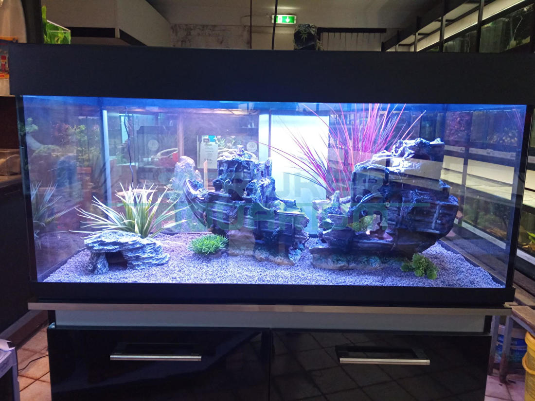 faillissement Rauw Syndicaat Aquarium decoratie schip | Strijker aquarium