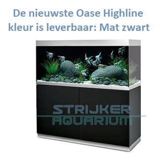 Strijker Aquarium De Aquariumspeciaalzaak Van Rotterdam