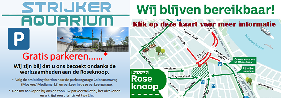 Route Strijker aquarium