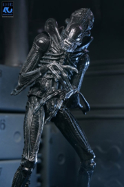 (Pre-order) Aliens Ultimate Action Figure Warrior (1986) Xenomorph Black (40th Anniversary) 23 cm