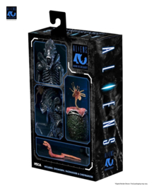 (Pre-order) Aliens Ultimate Action Figure Warrior (1986) Xenomorph Black (40th Anniversary) 23 cm