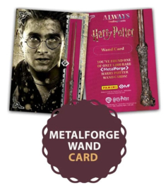 (Pre-order) Harry Potter Premium Treasure Box