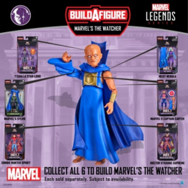 PRE-ORDER Marvel Legends Disney+ Marvel’s Sylvie