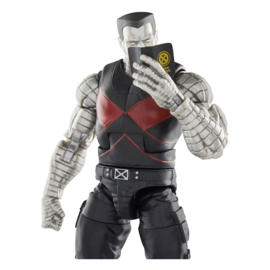 PRE-ORDER Deadpool Legacy Collection Marvel Legends Action Figure Marvel's Colossus