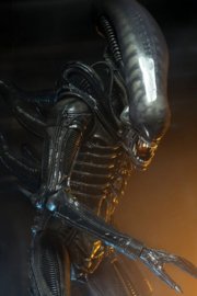 (Pre-order) Alien 1/4 Action Figure Big Chap 56 cm