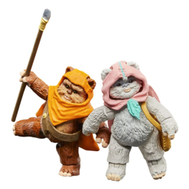 Star Wars: Ewoks Vintage Collection Wicket W Warrick & Kneesaa