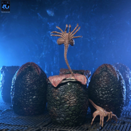 (Pre-order) Aliens 6-Pack Accessory Pack Carton of Alien Eggs (40th Anniversary)