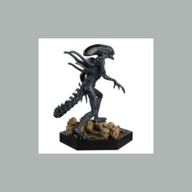 PRE-ORDER The Alien vs. Predator Collection Statue 1/16 Xenomorph Grid