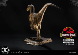 PRE-ORDER Jurassic Park Prime Collectibles Statue 1/10 Velociraptor Closed Mouth 19 cm