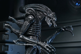 (Pre-order) Aliens Ultimate Action Figure Warrior (1986) Xenomorph Black (40th Anniversary) 23 cm