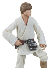 PRE-ORDER Star Wars Episode IV Black Series Action Figure Luke Skywalker