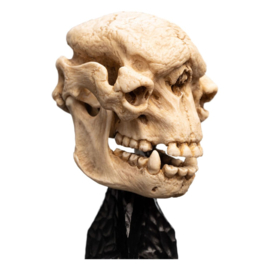 PRE-ORDER Lord of the Rings Mini Statue Skull of a Cave Troll 21 cm