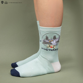 (Pre-order) Harry Potter Socks 3-Pack Hedwig