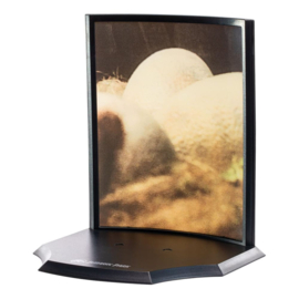 Jurassic Park Toyllectible Treasure Statue Raptor Egg Life Finds A Way 12 cm