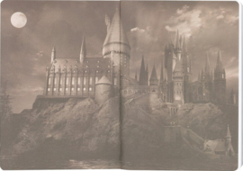 (Pre-order) Harry Potter Softcover Notebook Hufflepuff 21 cm