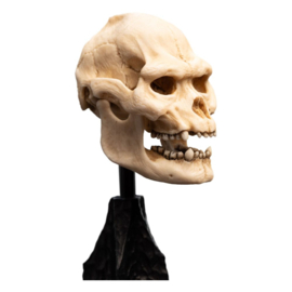 PRE-ORDER Lord of the Rings Mini Statue Skull of Lurtz 14 cm