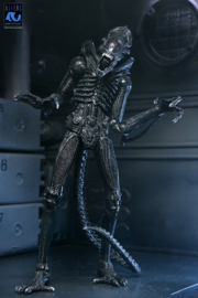 (Pre-order) Aliens Ultimate Action Figure Warrior (1986) Xenomorph Black (40th Anniversary) 23 cm