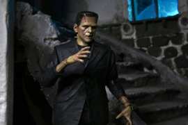 (Pre-order) Universal Monsters Action Figure Ultimate Frankenstein's Monster (Color) 18 cm