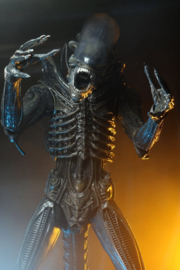 (Pre-order) Alien 1/4 Action Figure Big Chap 56 cm