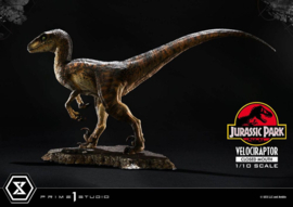 PRE-ORDER Jurassic Park Prime Collectibles Statue 1/10 Velociraptor Closed Mouth 19 cm