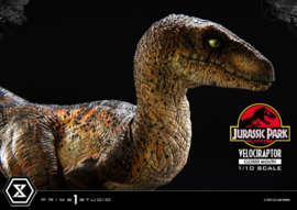 PRE-ORDER Jurassic Park Prime Collectibles Statue 1/10 Velociraptor Closed Mouth 19 cm