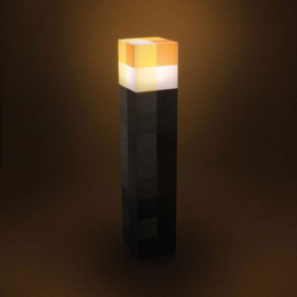 Minecraft Torch Light