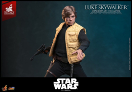 (Pre-order) Star Wars Comic Masterpiece Action Figure 1/6 Luke Skywalker (Shadows Of The Empire) (Hot Toys Exclusive) 28 cm