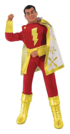 PRE-ORDER DC Comics Action Figure Shazam Limited Edition 20 cm