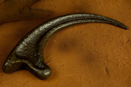 (Pre-order) Jurassic Park Replica 1/1 Raptor Claw
