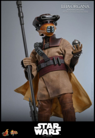(Pre-order) Star Wars Episode VI Movie Masterpiece Action Figure 1/6 Leia Organa (Boushh Disguise) 27 cm