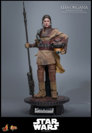 (Pre-order) Star Wars Episode VI Movie Masterpiece Action Figure 1/6 Leia Organa (Boushh Disguise) 27 cm