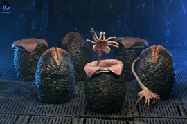 (Pre-order) Aliens 6-Pack Accessory Pack Carton of Alien Eggs (40th Anniversary)